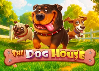 amb321 สมัคร The Dog House ทดลองเล่นฟรี